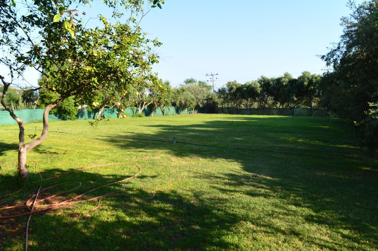 Ferienwohnung Chrysland Agia Napa Exterior foto