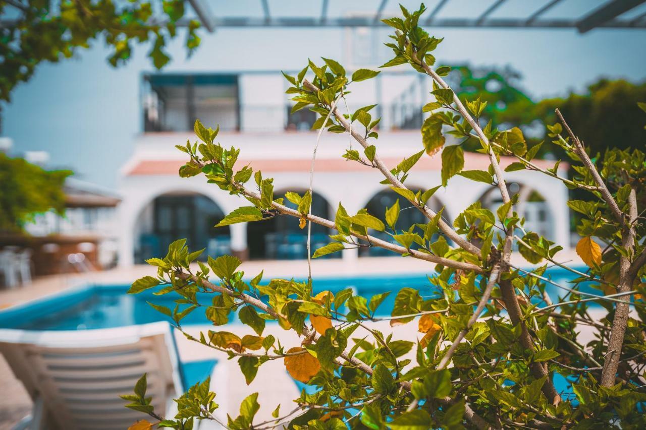 Ferienwohnung Chrysland Agia Napa Exterior foto